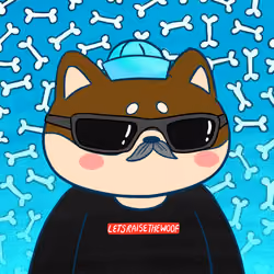 Super Shiba #4273