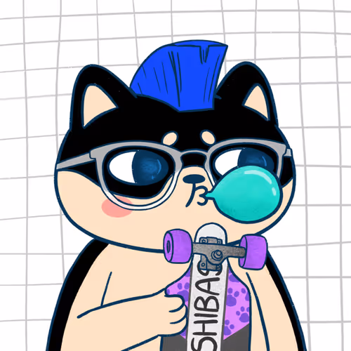 Super Shiba #4896