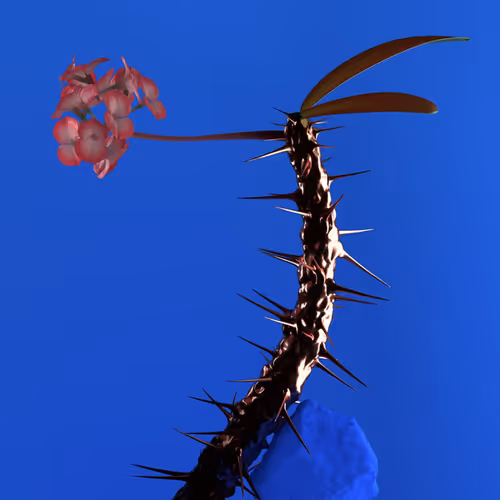 Hyperreal V2