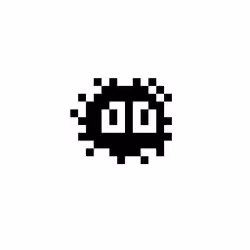 WEN REVEAL