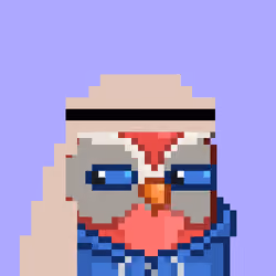 Saudi Birds #29
