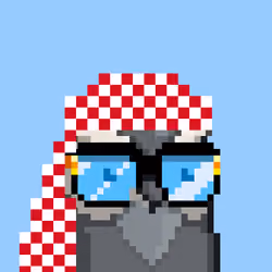 Saudi Birds #146