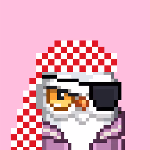 Saudi Birds #92