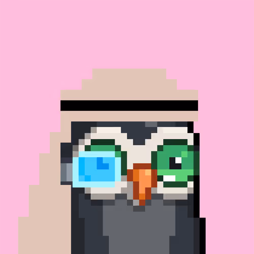 Saudibirds