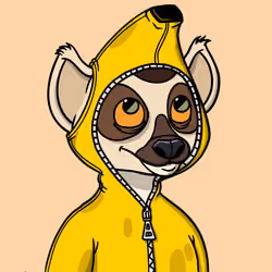 Lemur Lemur #520