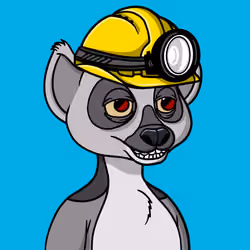 Lemur Lemur #246