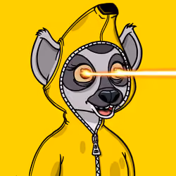Lemur Lemur #806