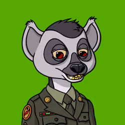 Lemur Lemur #684
