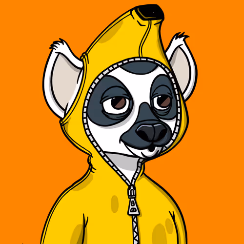 Lemur Lemur #1578