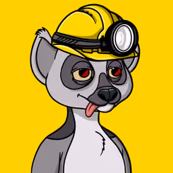 Lemur Lemur #566