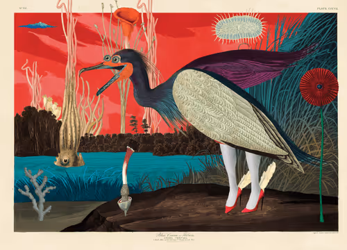 Birdsofsolis