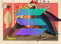 687