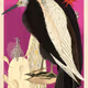 1937
