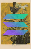 849