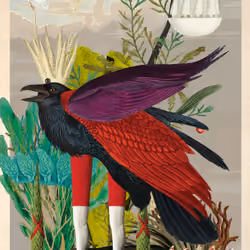 Corvus Corax Morphax #47
