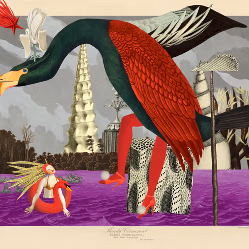 Birdsofsolis