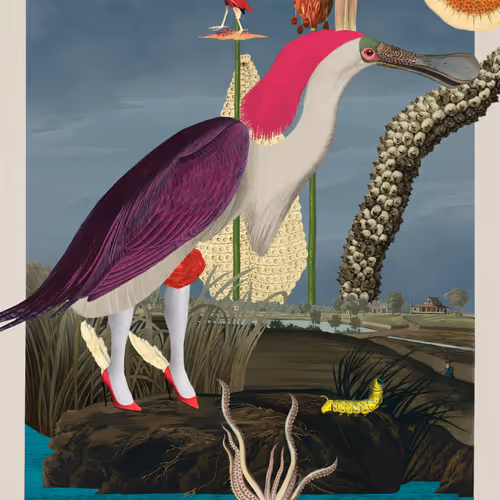 Birdsofsolis