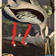 1137