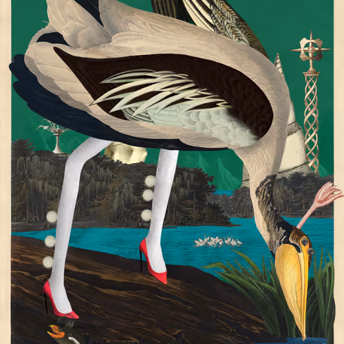 Birdsofsolis