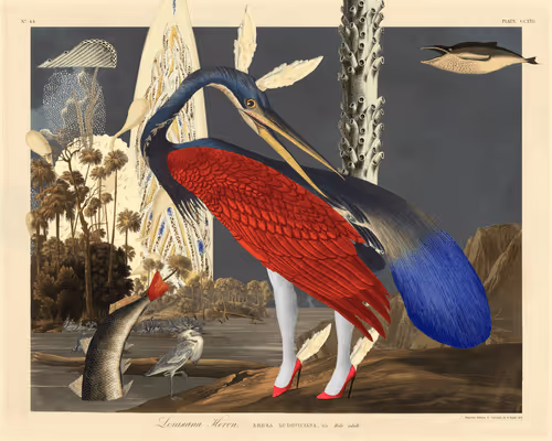 Birdsofsolis