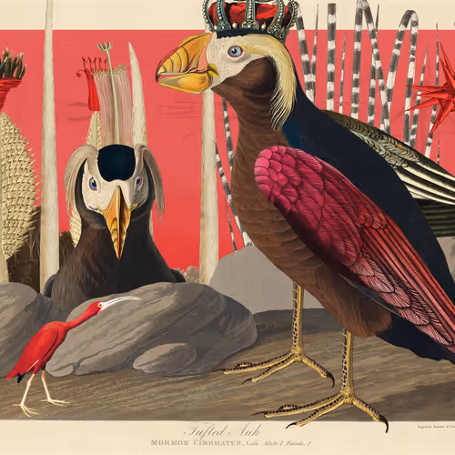 Birdsofsolis
