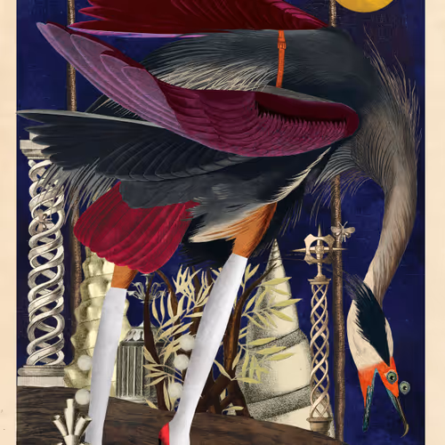 Birdsofsolis