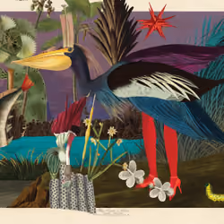 Grus Paradisea Morphea #100