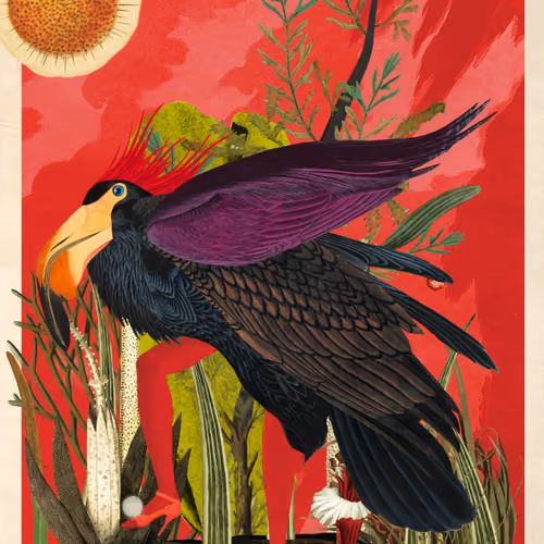 Corvus Corax Morphax #11