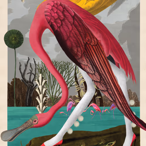 Birdsofsolis
