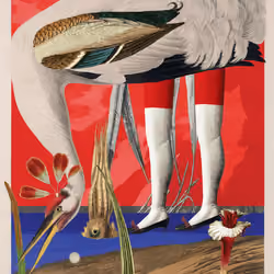 Grus Americana Morpha #51