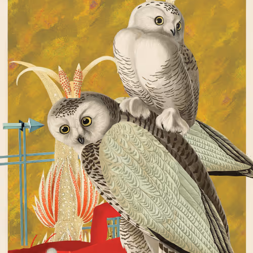 Birdsofsolis