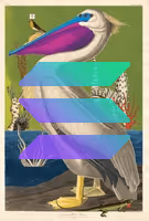 291