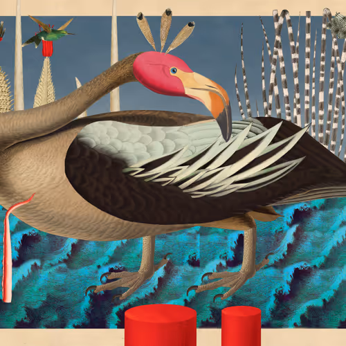 Birdsofsolis