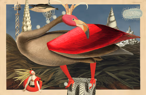 Birdsofsolis