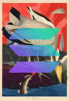 717