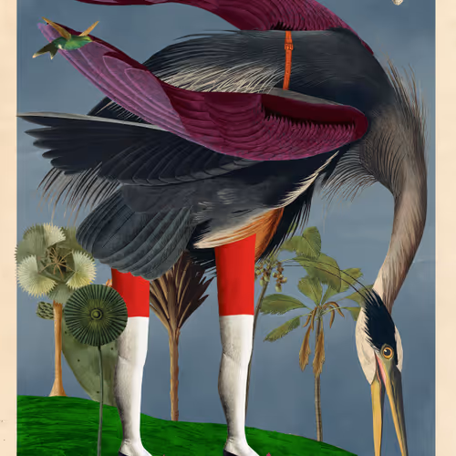 Birdsofsolis