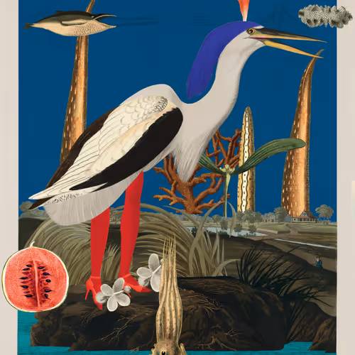 Birdsofsolis