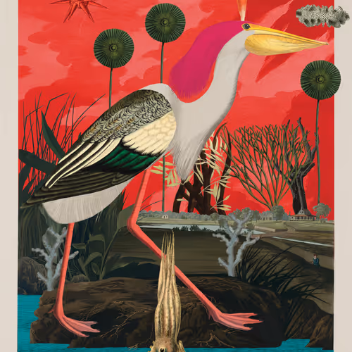 Birdsofsolis
