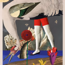Grus Americana Morpha #24