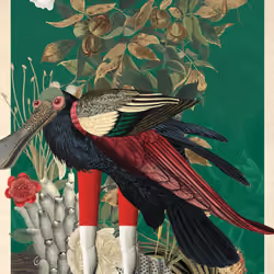 Corvus Corax Morphax #24