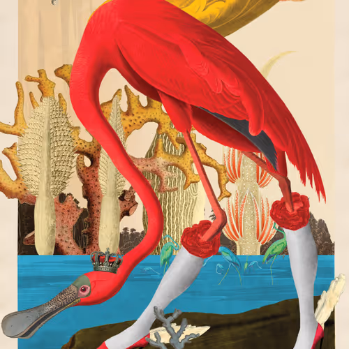 Birdsofsolis