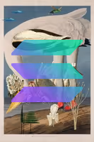 1079