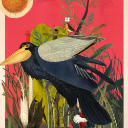 Corvus Corax Morphax #38