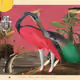 619