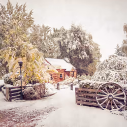 My Studio in the Fresh Snow #0267