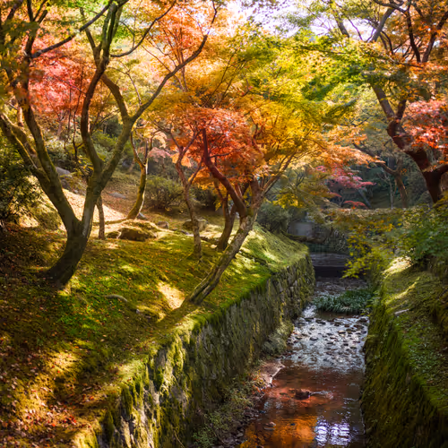 Trey Ratcliff 1k1k Project