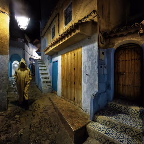 Exploring a Strange Land With Curious Shadows in the Night #0004