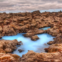 The Alien Pool #0572