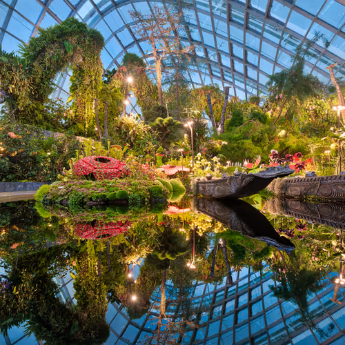 The Indoor Rainforest #0732