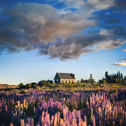 The Lupins Under Wormhole Clouds #0677